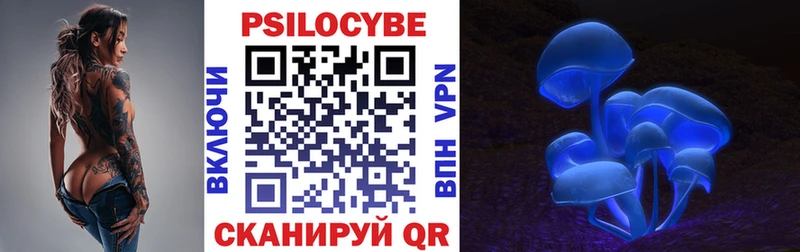 Купить где  Томилино  Галлюциногенные грибы MAGIC MUSHROOMS 